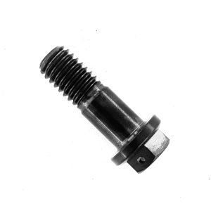 P1 Australia - Racers with Real Racing Solutions